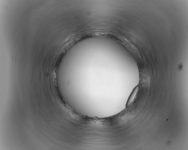 X0000091930523200709051244
