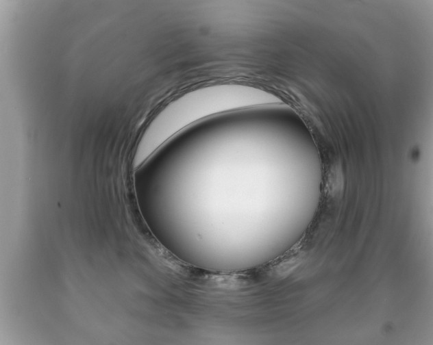 X0000091930524200709051244