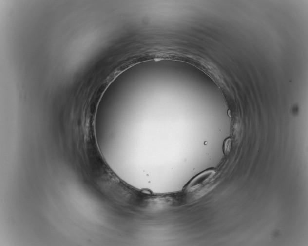 X0000091930525200709051244