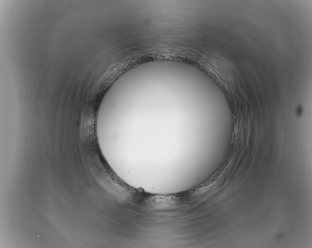 X0000091930526200709051244