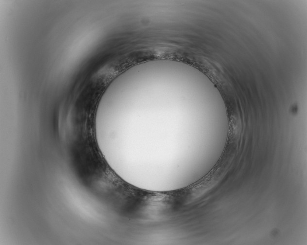 X0000091930527200709051244