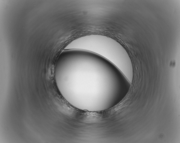 X0000091930528200709051244