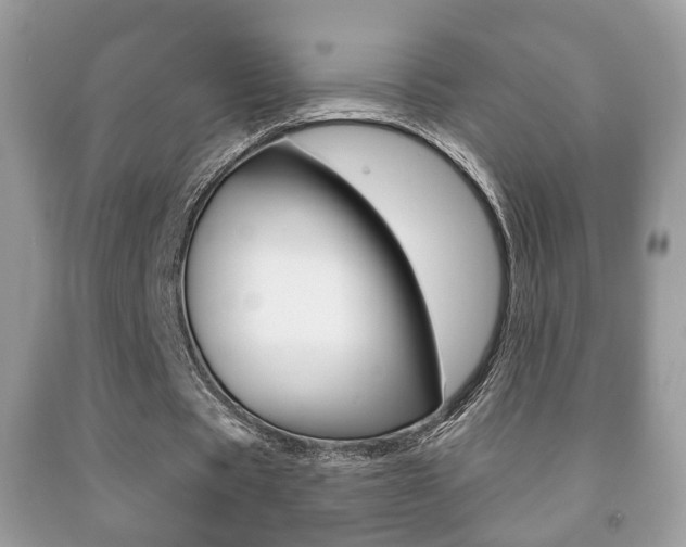 X0000091930529200709051243