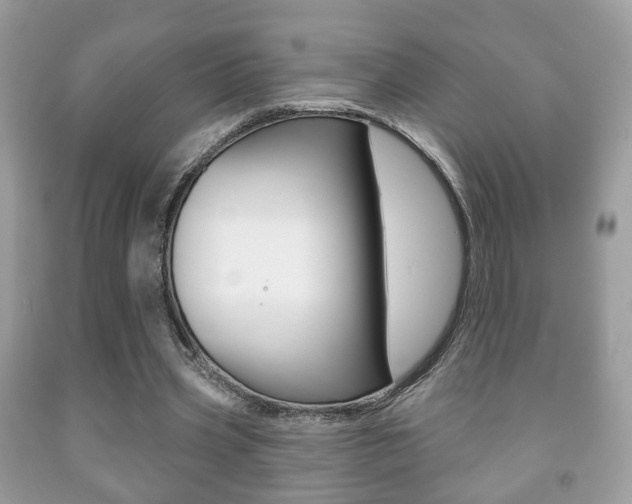 X0000091930533200709051243