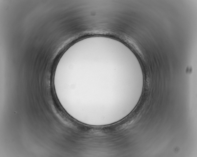 X0000091930534200709051243