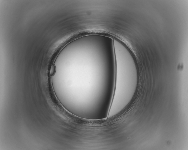 X0000091930535200709051243
