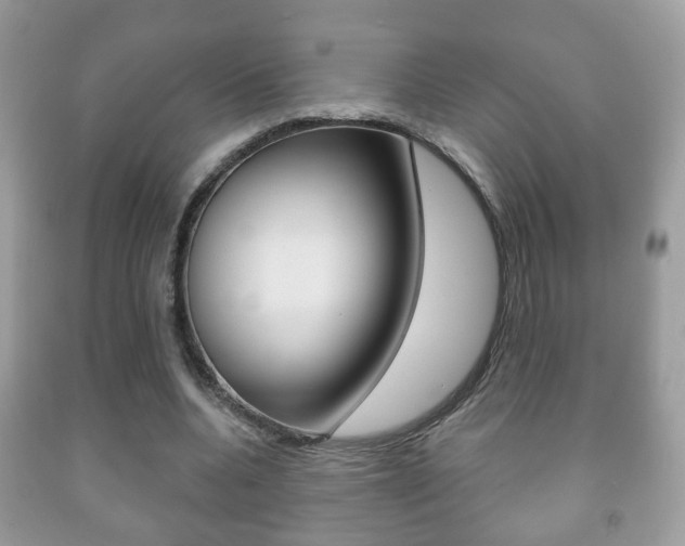 X0000091930536200709051243