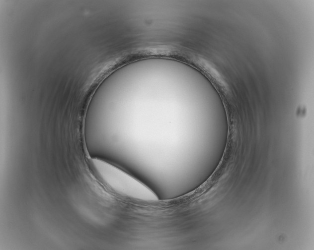 X0000091930537200709051243
