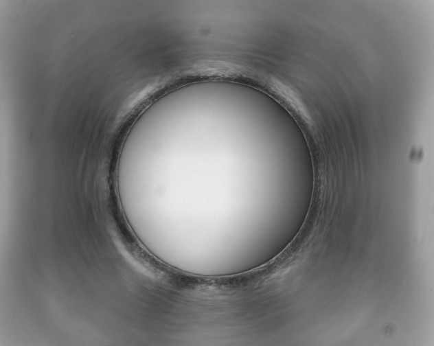 X0000091930538200709051243