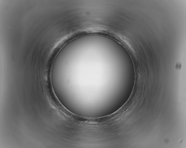 X0000091930539200709051243