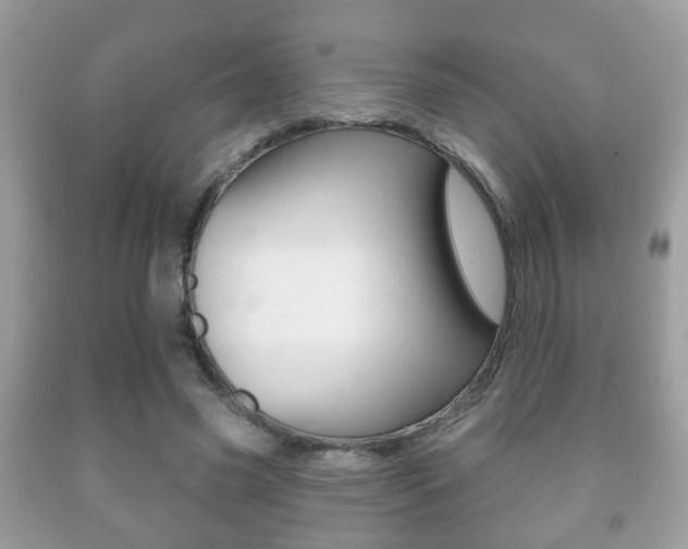 X0000091930541200709051243