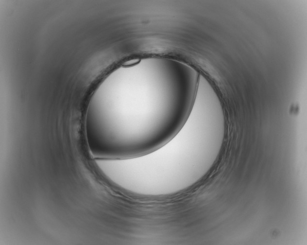X0000091930544200709051243