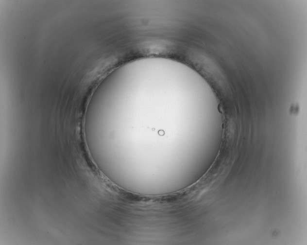 X0000091930545200709051243