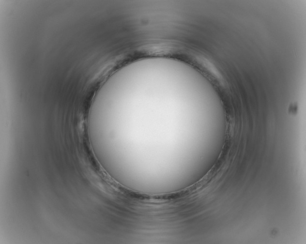 X0000091930549200709051243