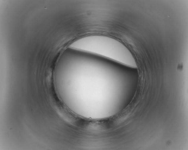 X0000091930550200709051243