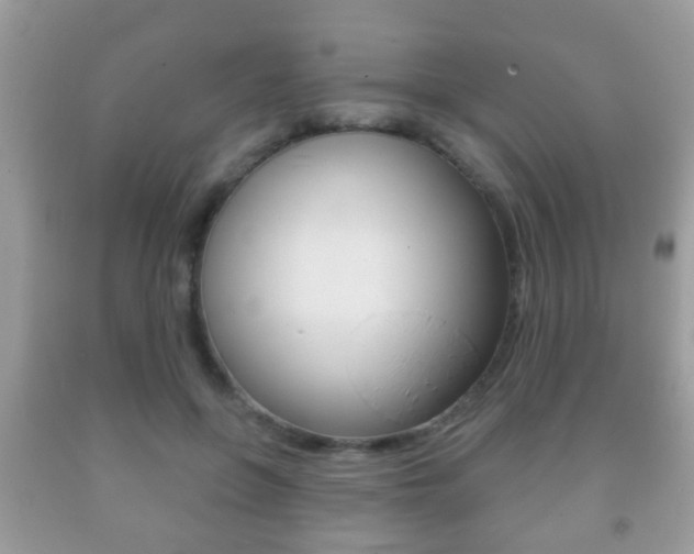 X0000091930551200709051243