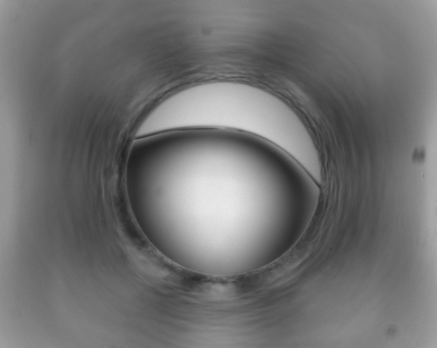 X0000091930552200709051243