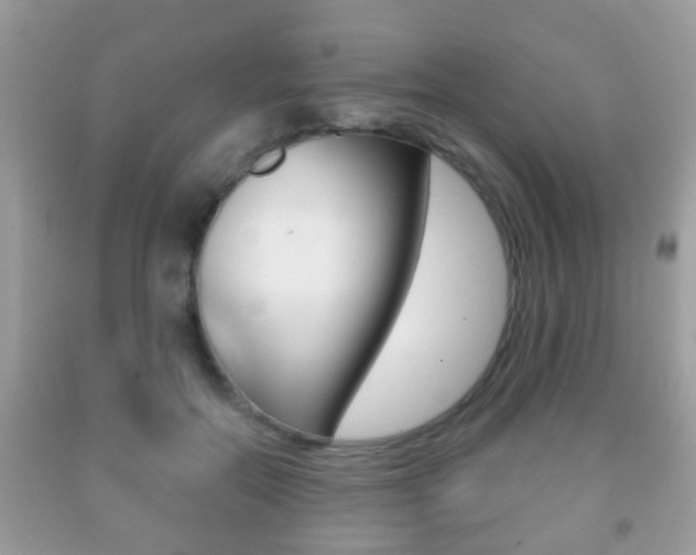 X0000091930554200709051243