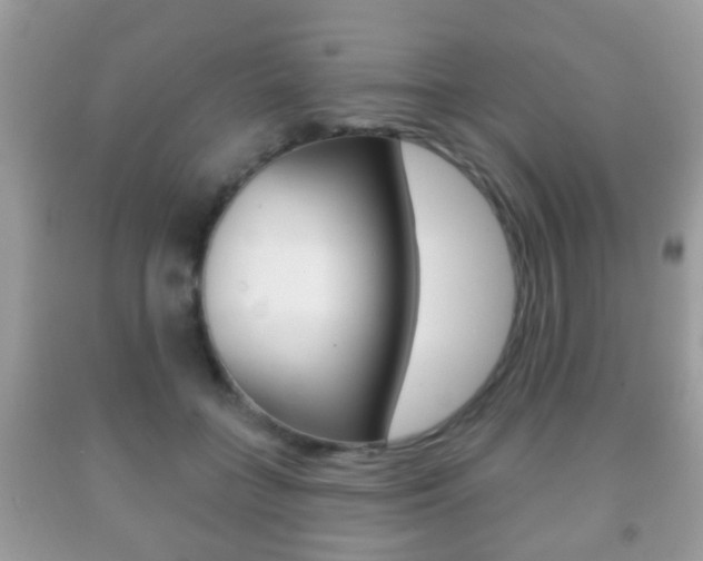 X0000091930555200709051243