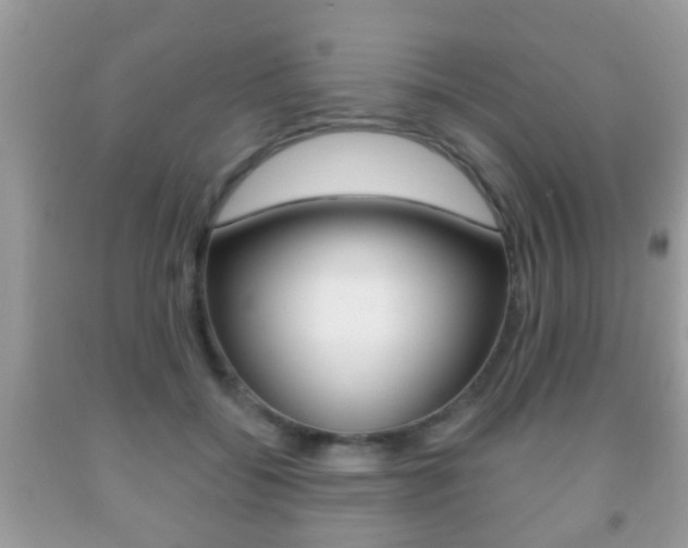 X0000091930556200709051243