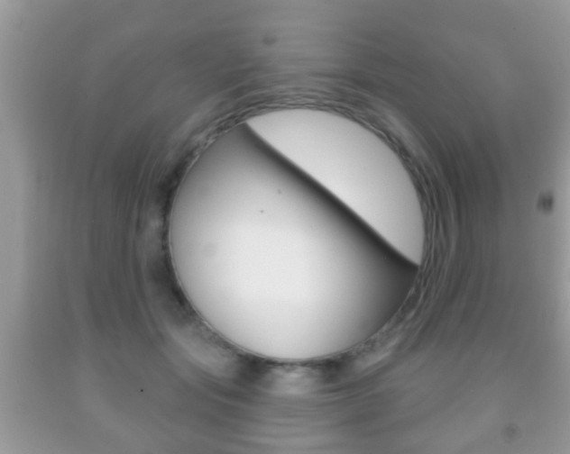 X0000091930557200709051243