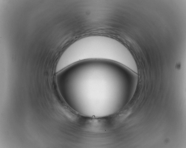 X0000091930558200709051243