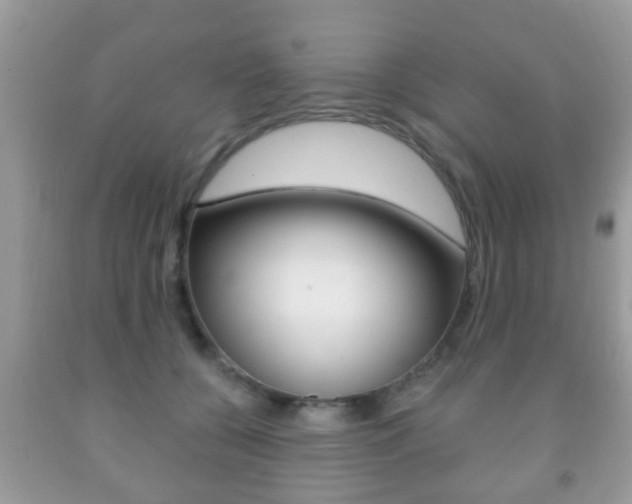 X0000091930560200709051243