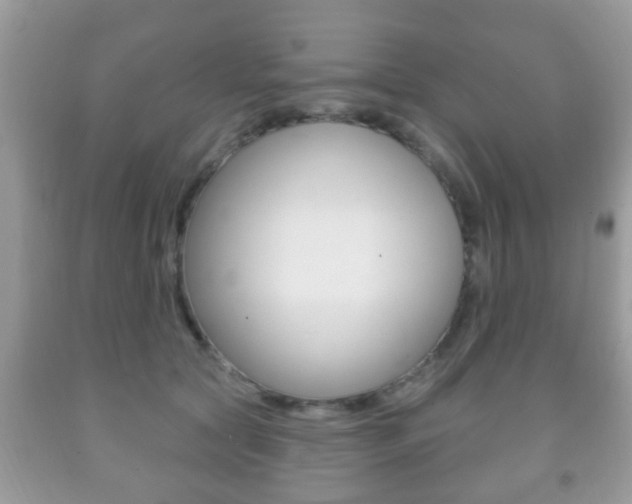 X0000091930561200709051243