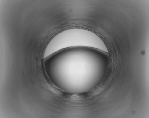 X0000091930562200709051243