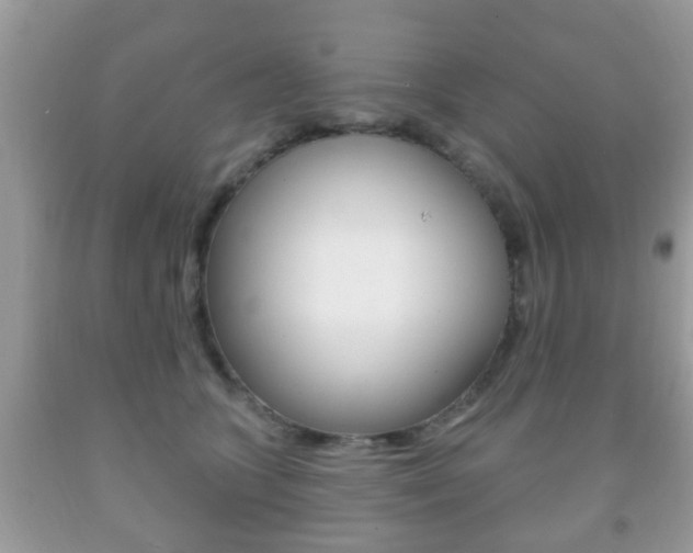 X0000091930563200709051243