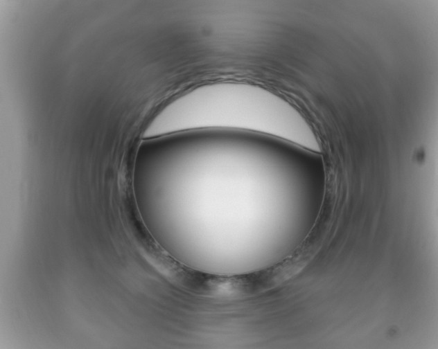 X0000091930564200709051243