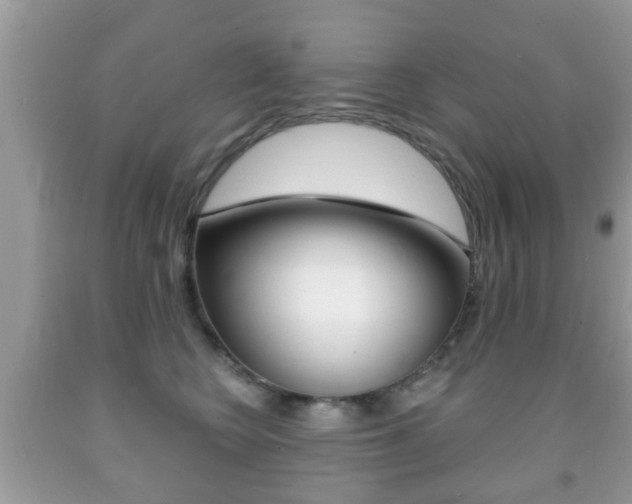 X0000091930566200709051243