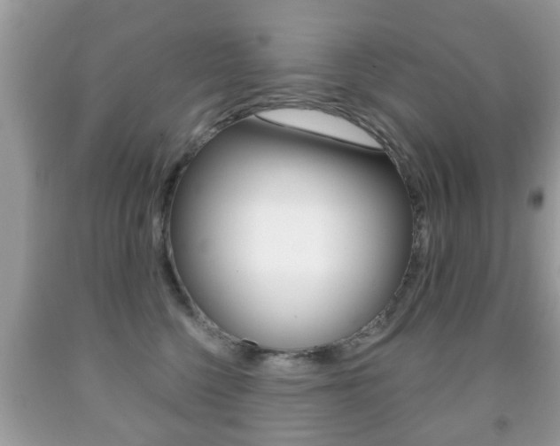 X0000091930568200709051243