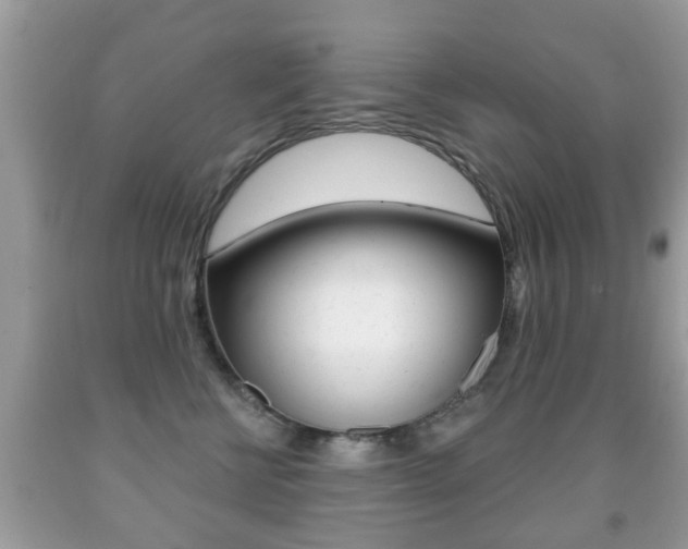 X0000091930570200709051243