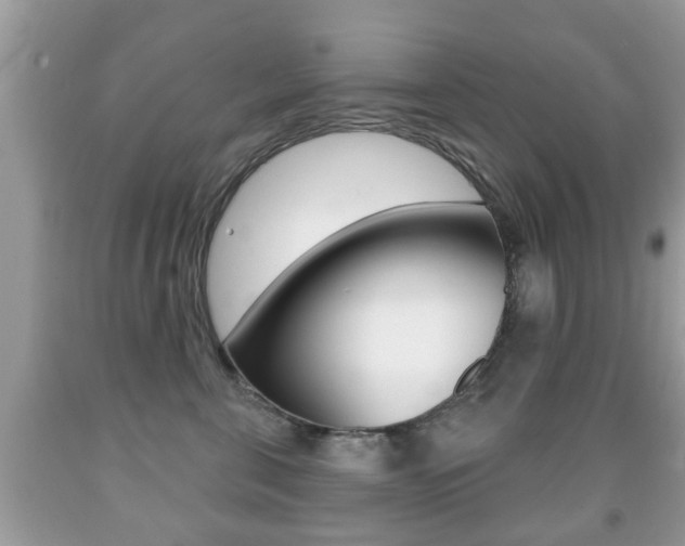 X0000091930571200709051243