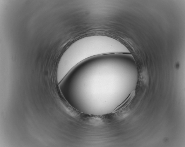 X0000091930572200709051243