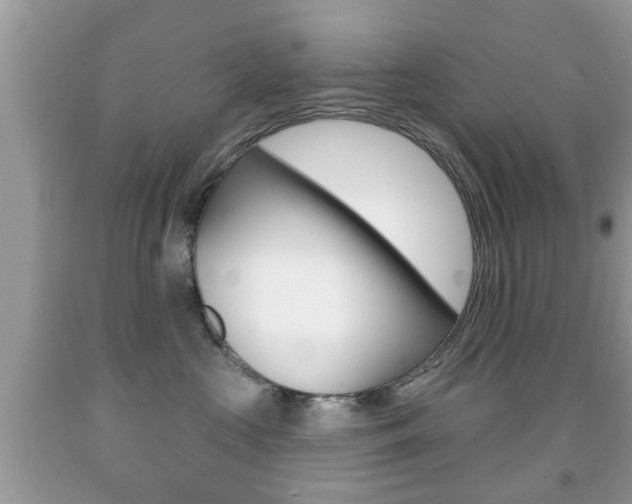 X0000091930573200709051243