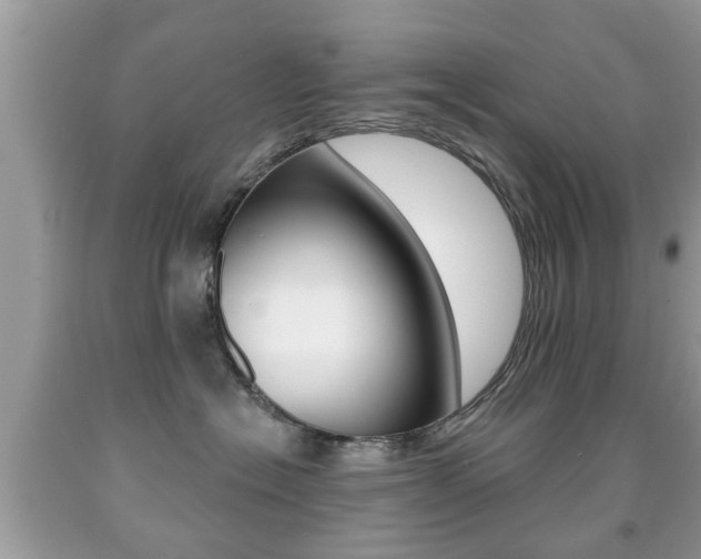X0000091930574200709051244