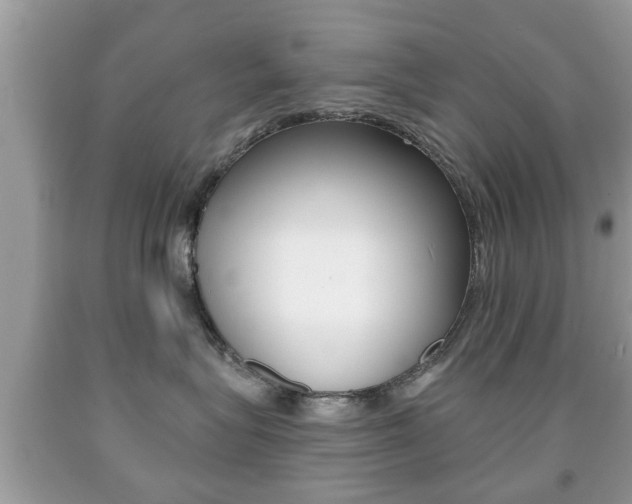X0000091930575200709051244