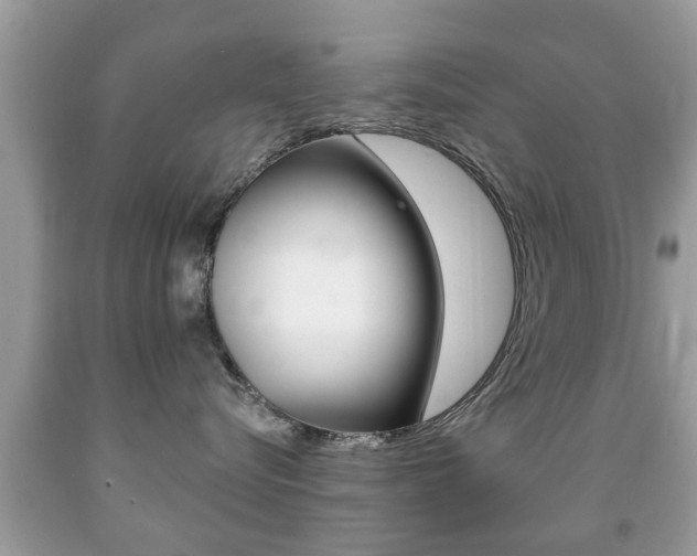 X0000091930576200709051244