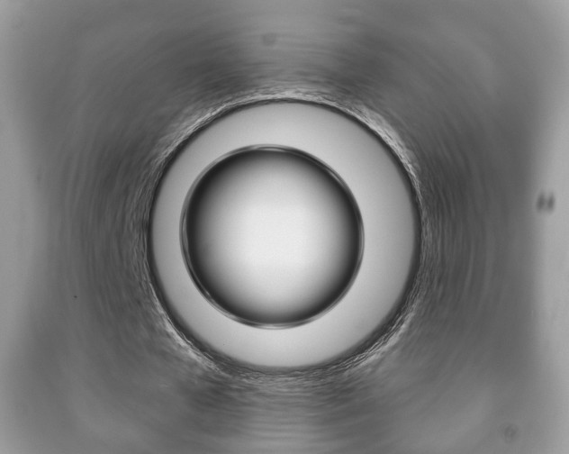 X0000091930577200709051243