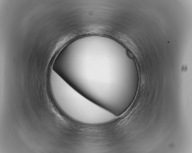 X0000091930578200709051243