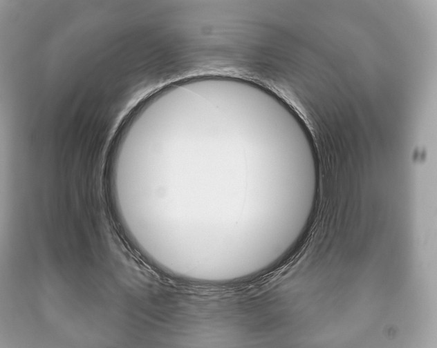 X0000091930579200709051243