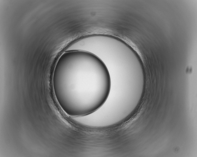 X0000091930581200709051243