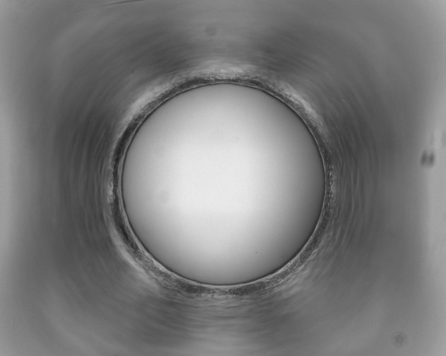 X0000091930582200709051243