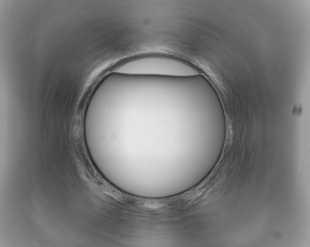 X0000091930583200709051243