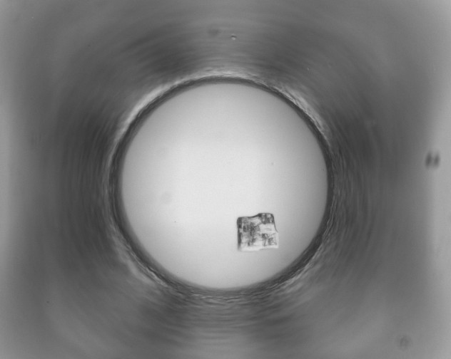 X0000091930584200709051243