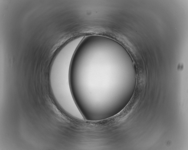 X0000091930585200709051243