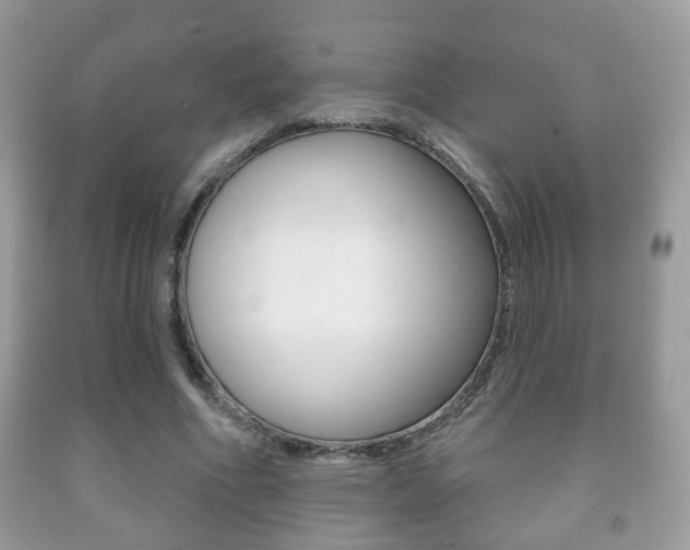 X0000091930586200709051243