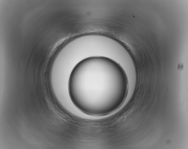 X0000091930587200709051243